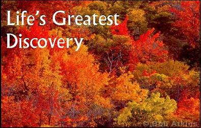 Lifes Greatest Discovery1